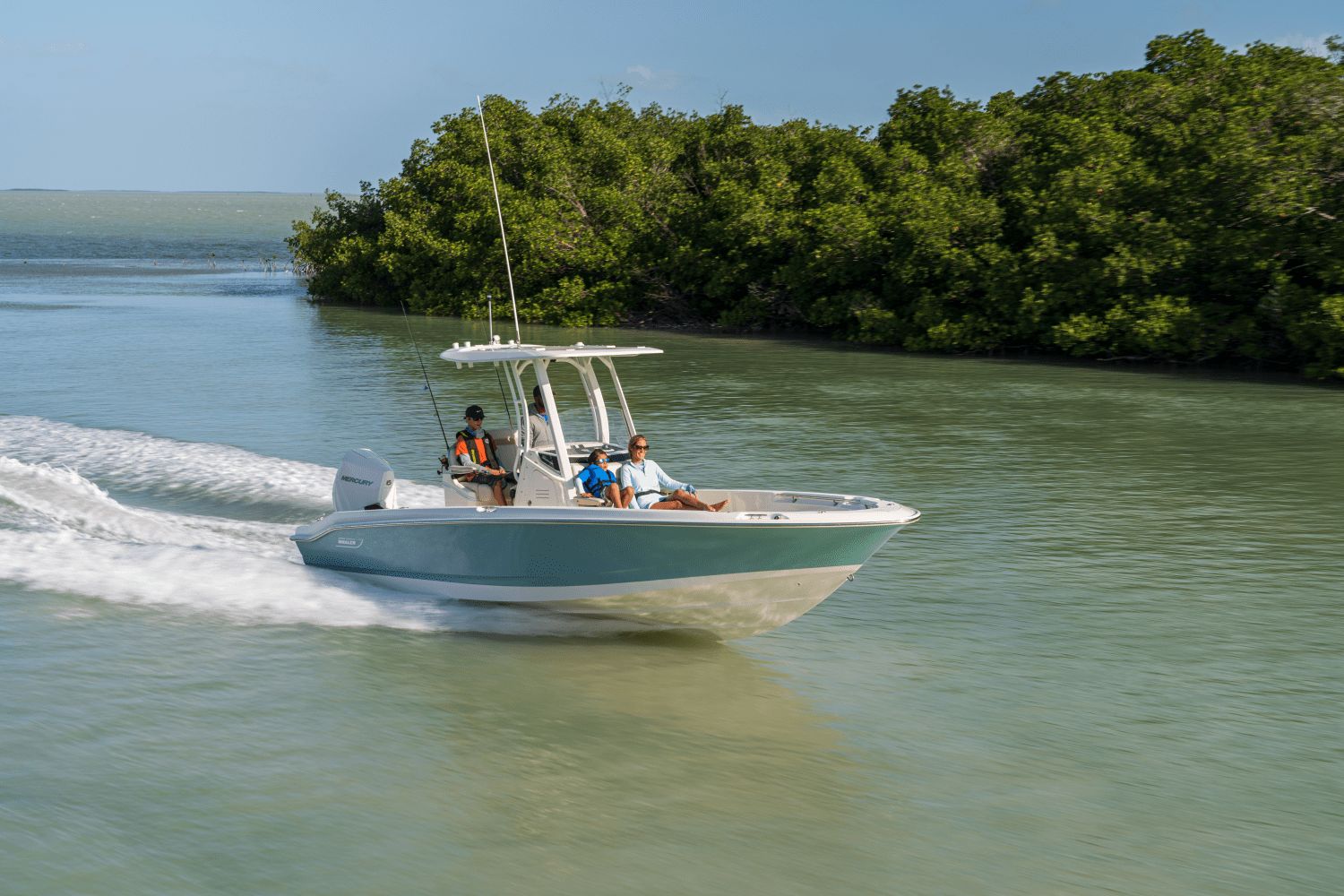 2026 Boston Whaler 250 Dauntless - 4