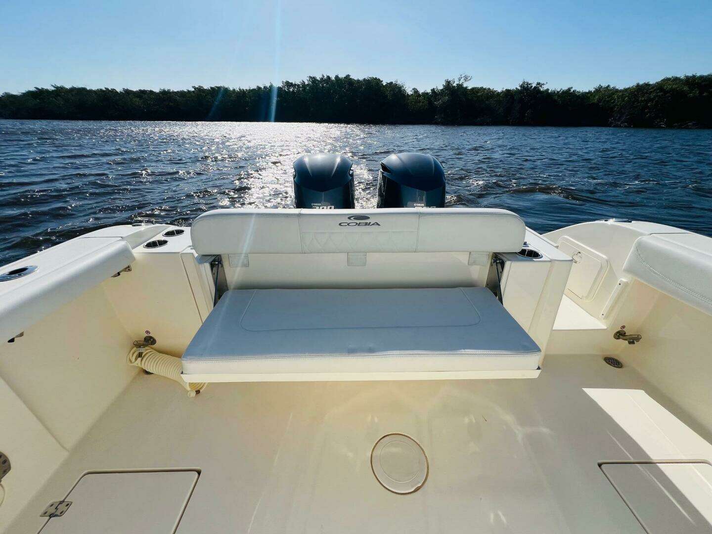 2021 Cobia 301 Center Console - Image 21