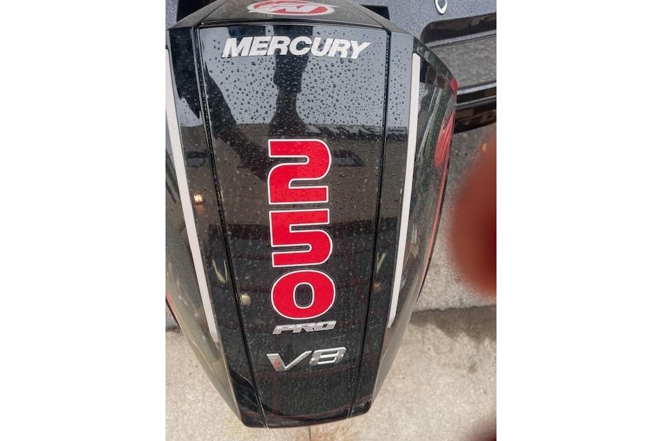 Mercury 250 Pro V8 engine on 2025 Nitro Z20 XL Pro boat.