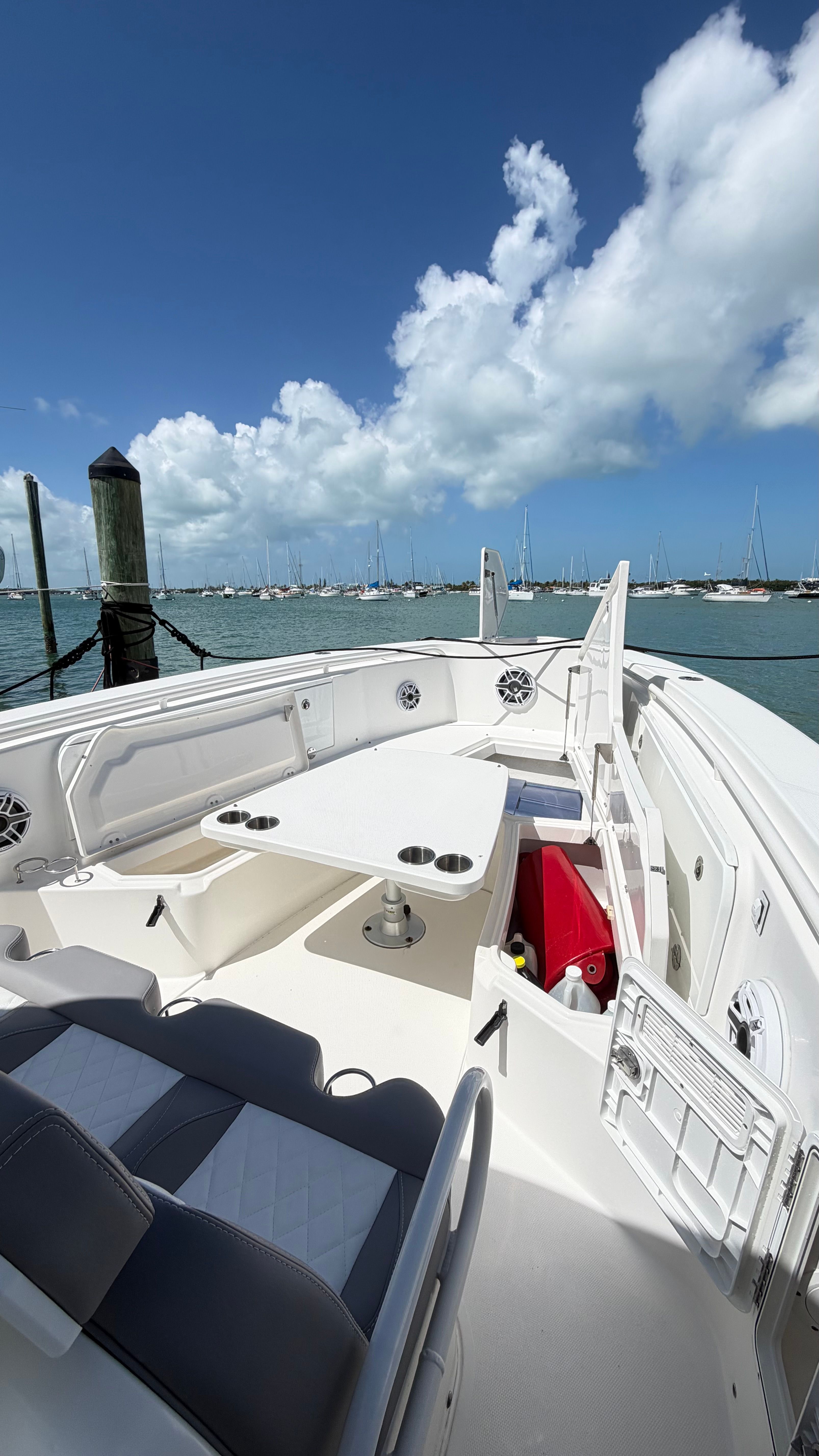 2009 Everglades 365 Center Console - 27