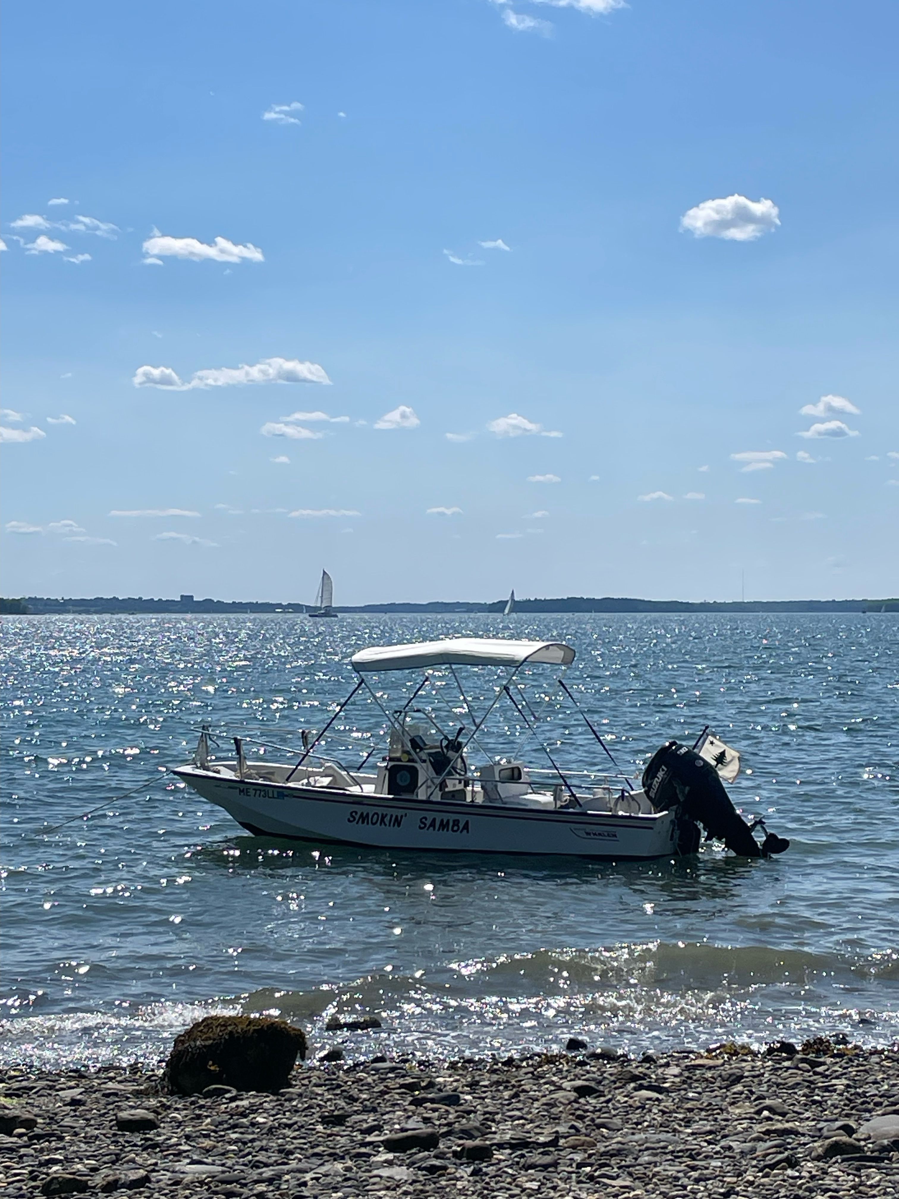 1992 Boston Whaler 17 Montauk