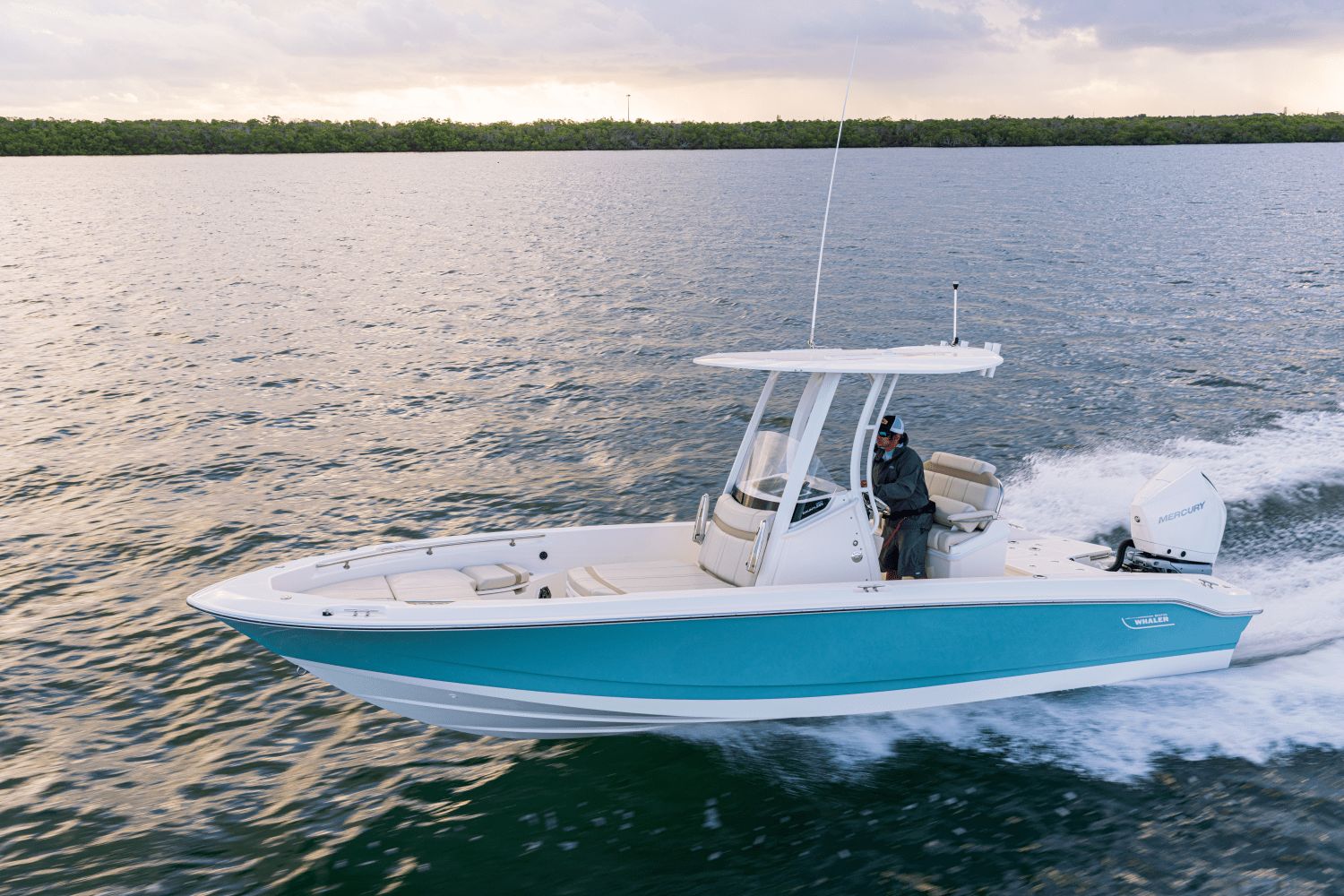 2026 Boston Whaler 250 Dauntless - 38