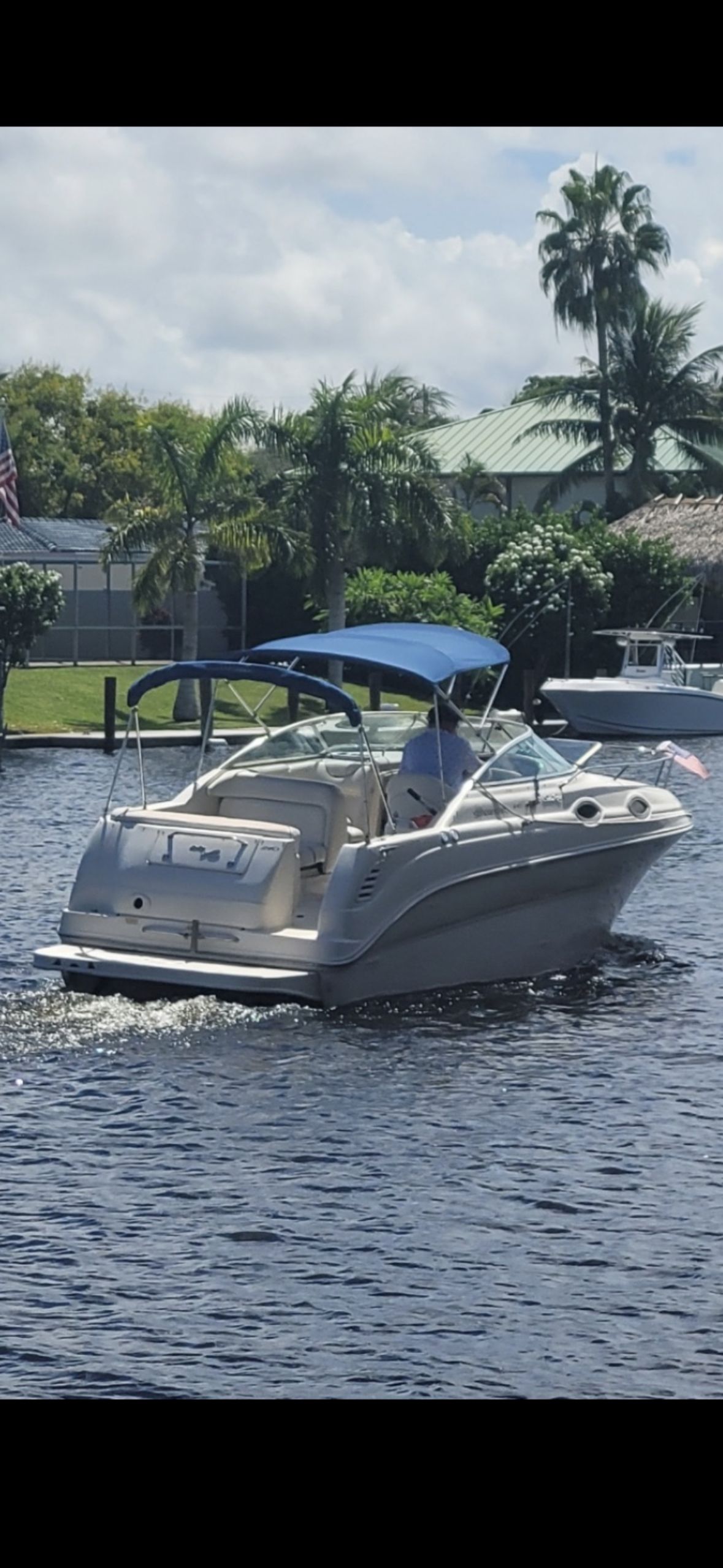 A 2001 Sea Ray 240 Sundancer cruising on calm water with palm trees in the background.