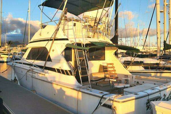 1988 Bertram 37 Convertible