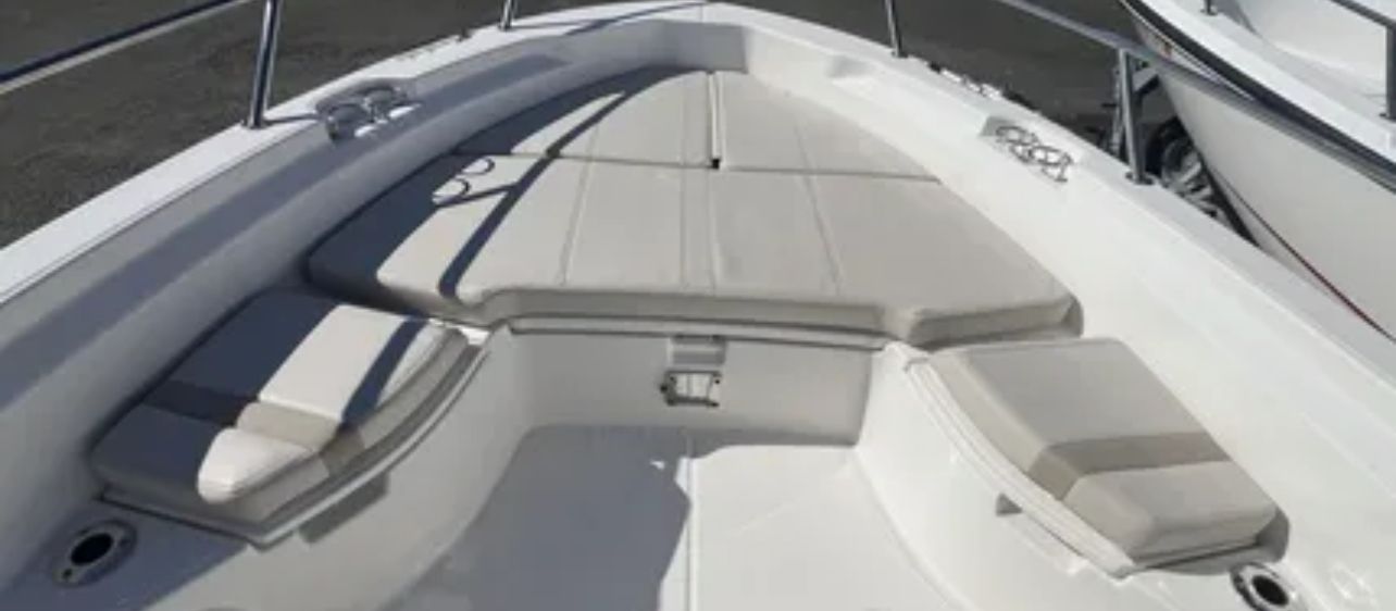 2025 Boston Whaler 250 Dauntless - 2