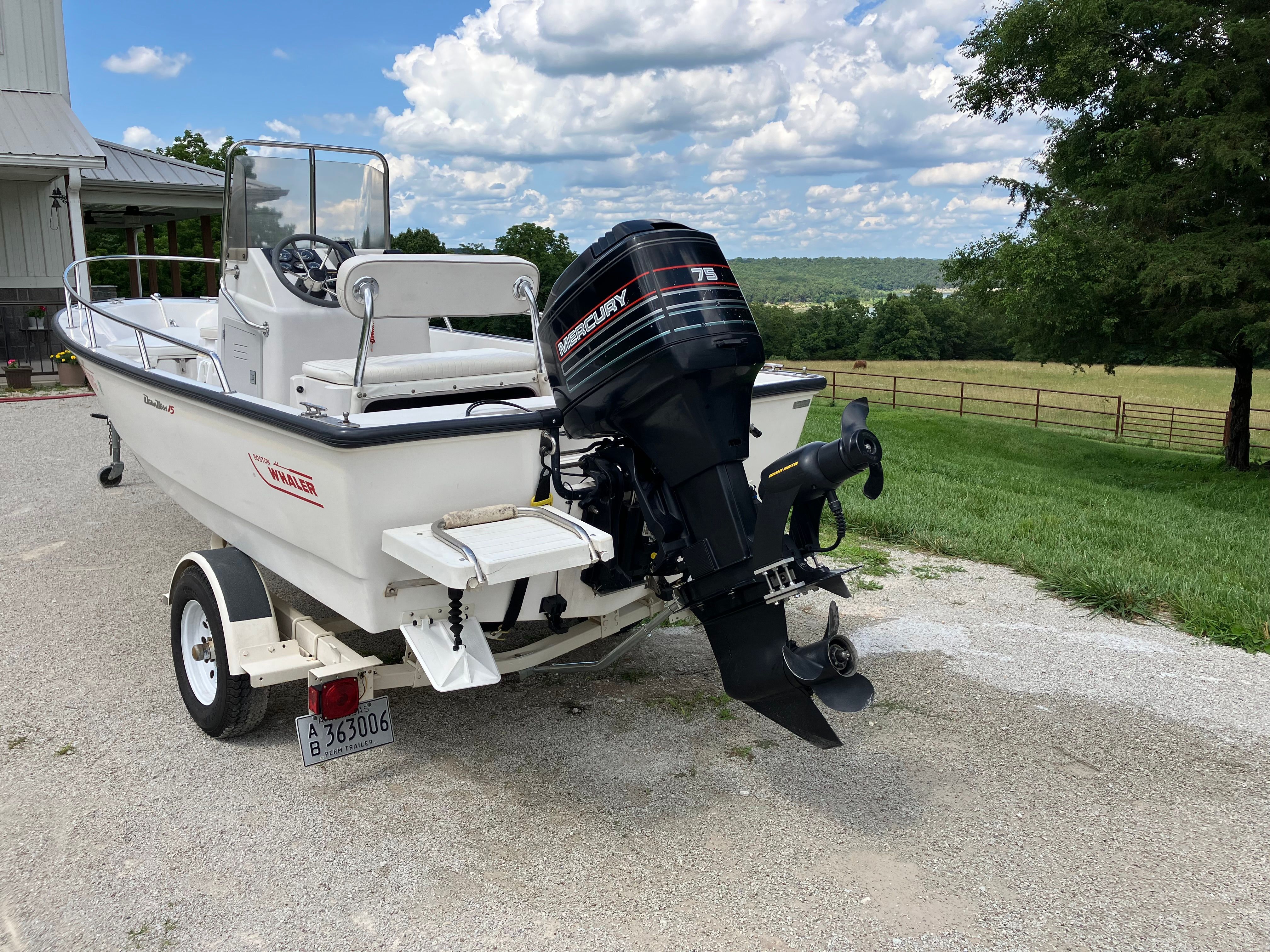 1995 Boston Whaler Dauntless 15 - 2