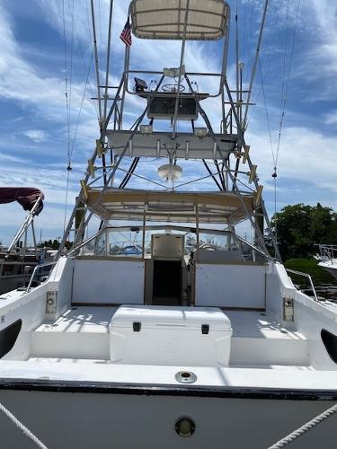 1977 Bertram 28' Flybridge Express