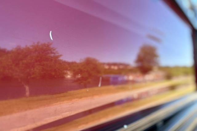 Reflection on 2025 Regency 250 DL3 boat surface, showing trees and sky.