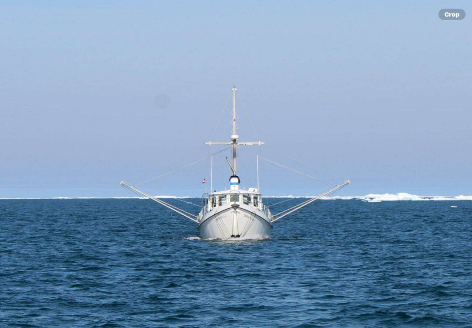 2006 Custom Sprague - Image 5