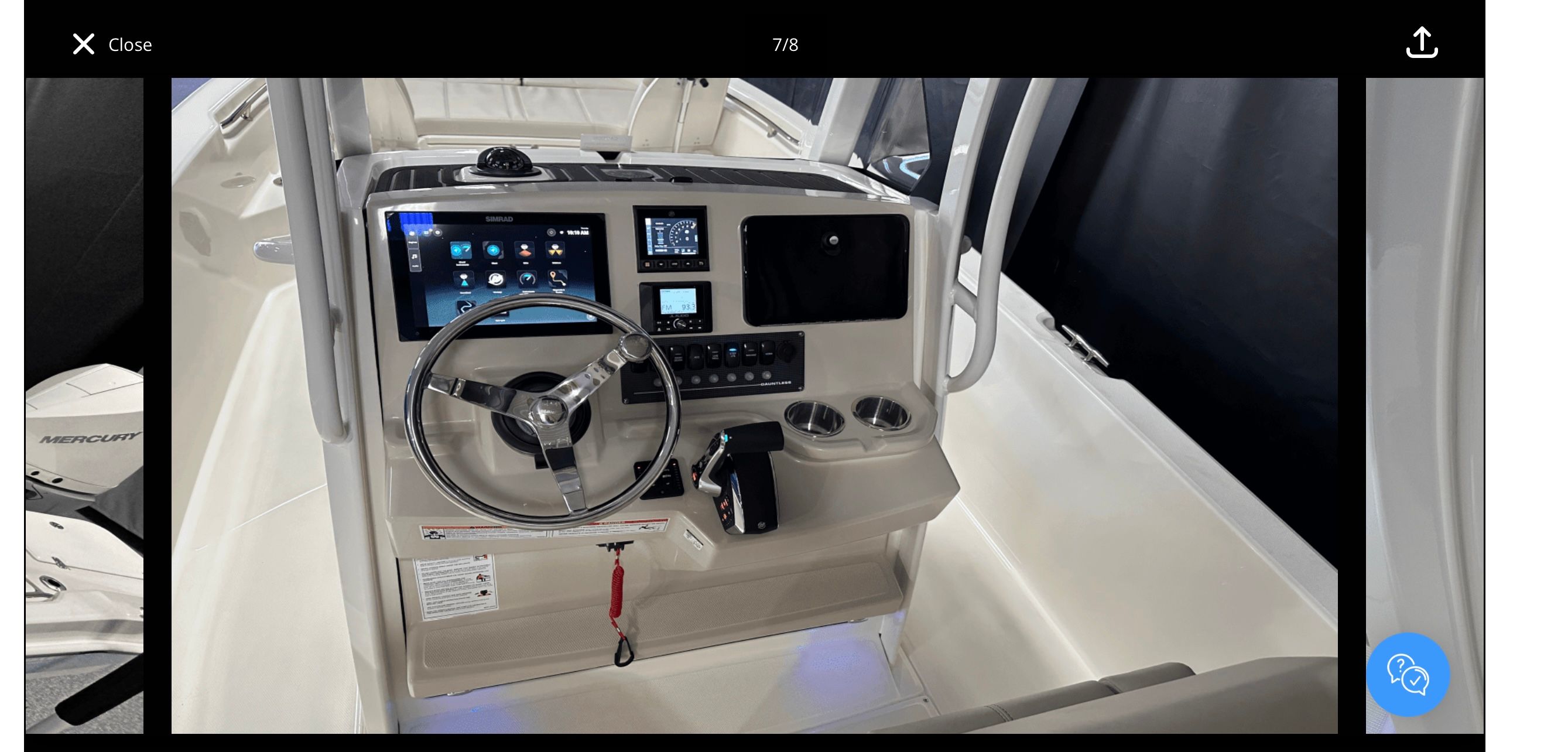 2025 Boston Whaler 250 Dauntless - 10