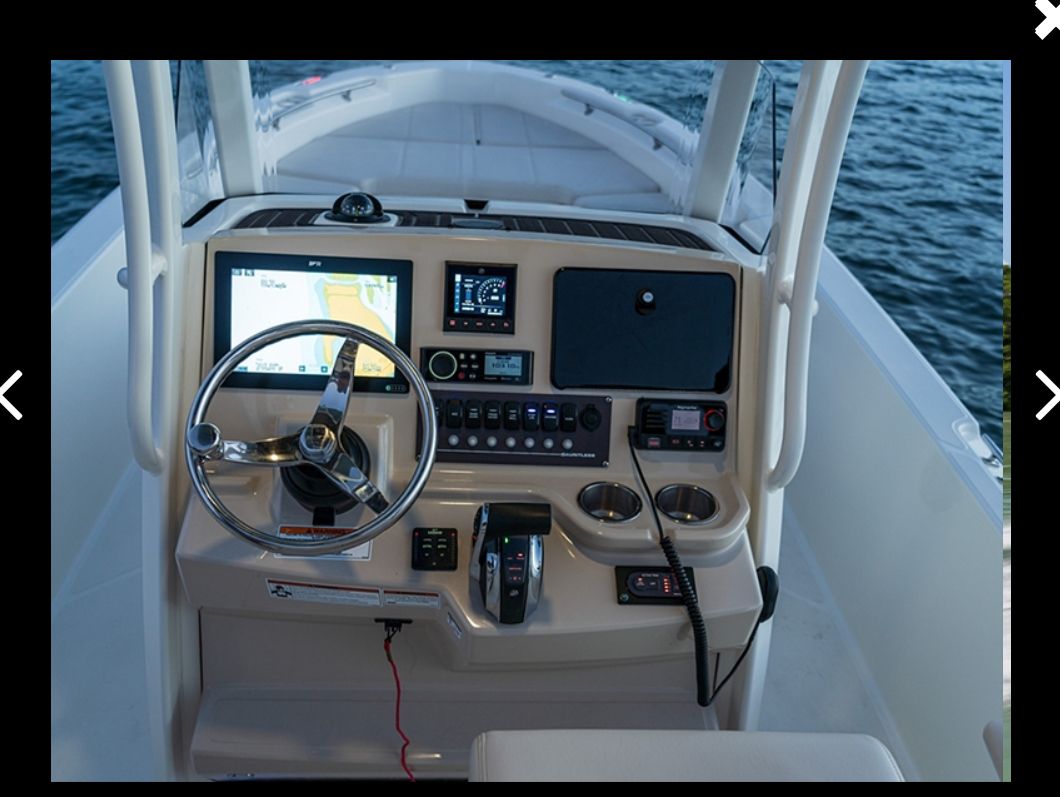 2025 Boston Whaler 250 Dauntless - 3