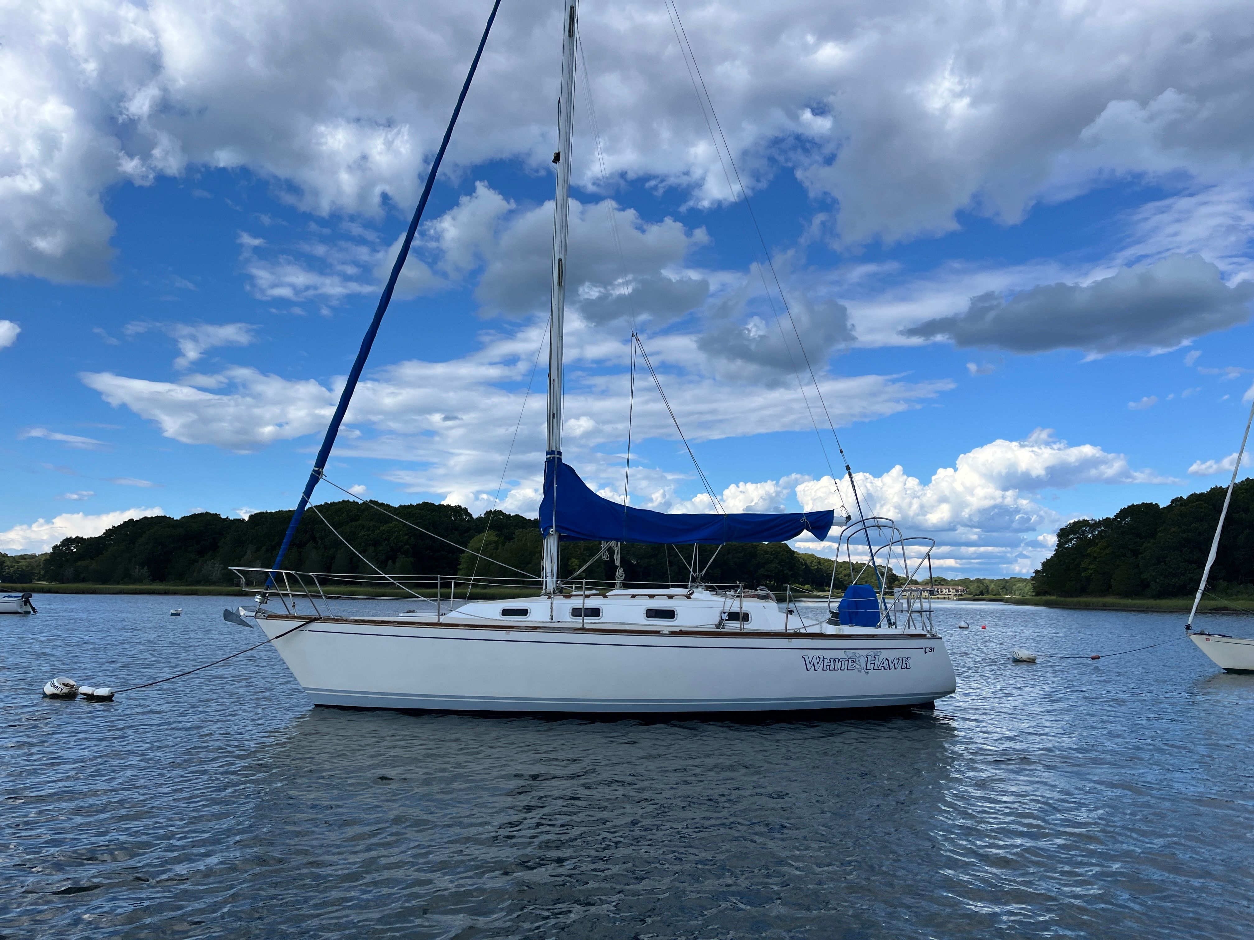 1990 Tartan 31