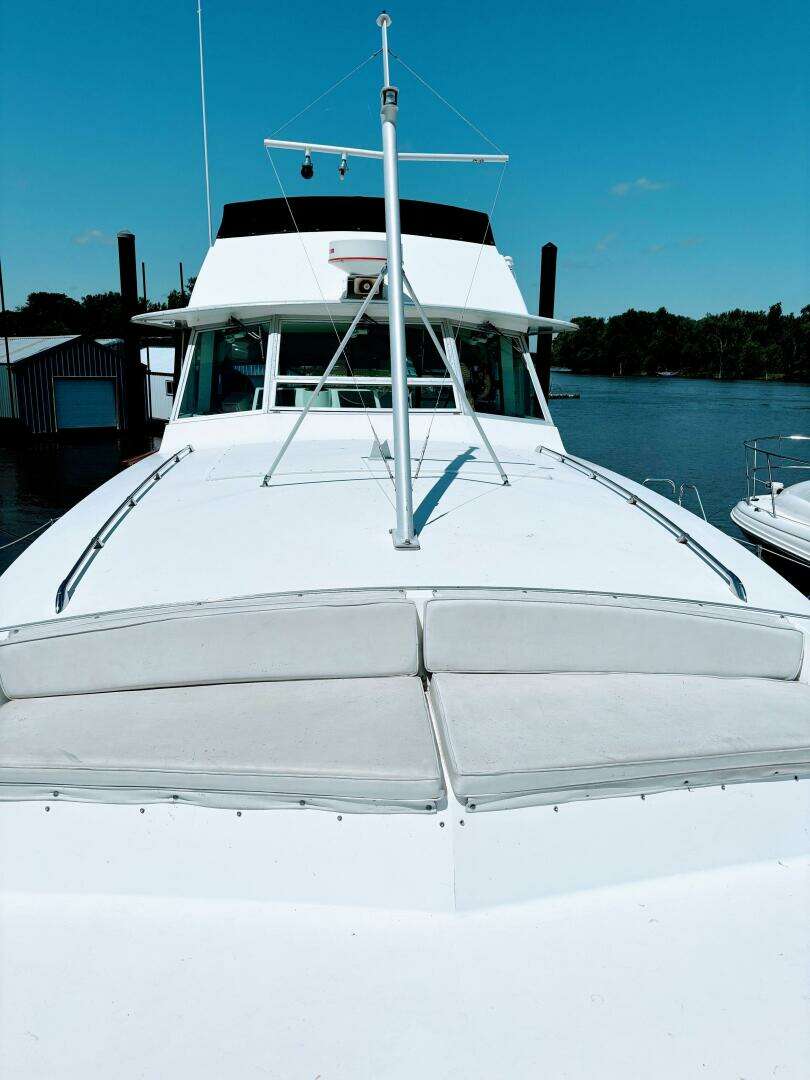 1977 Bertram 42 Motor Yacht - Image 9