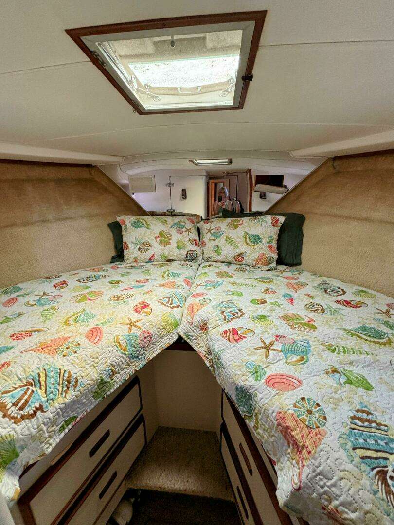 1977 Bertram 42 Motor Yacht - Image 40