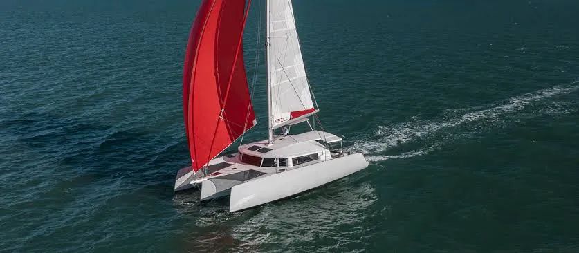 2021 Neel 43 - Image 5