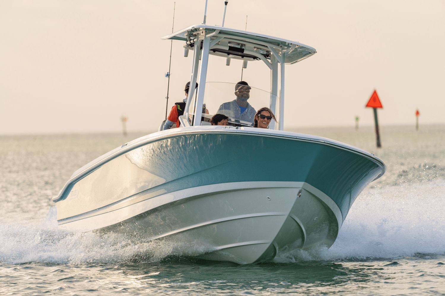 2026 Boston Whaler 250 Dauntless - 8