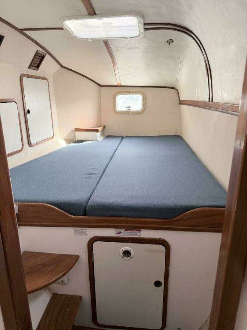 2002 Wildcat MKIII - Image 37