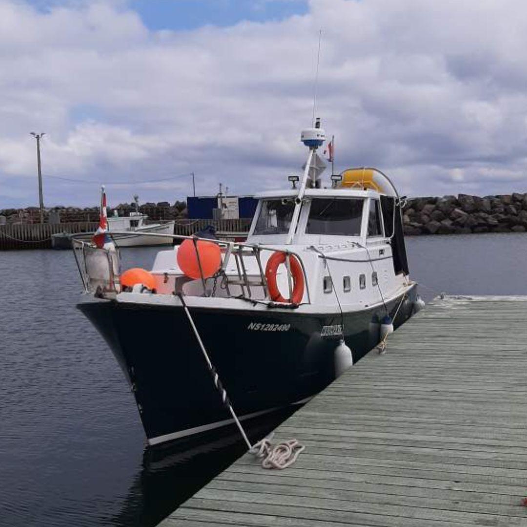 1979 Hyundai Roughwater 29