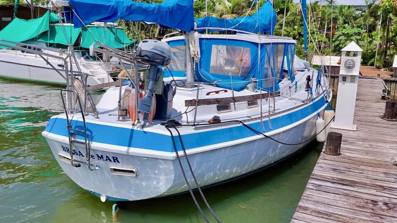 1981 Morgan Out Island 41 sailboat docked, featuring blue and white design, surrounded by greenery.