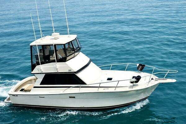 1986 Viking Convertible