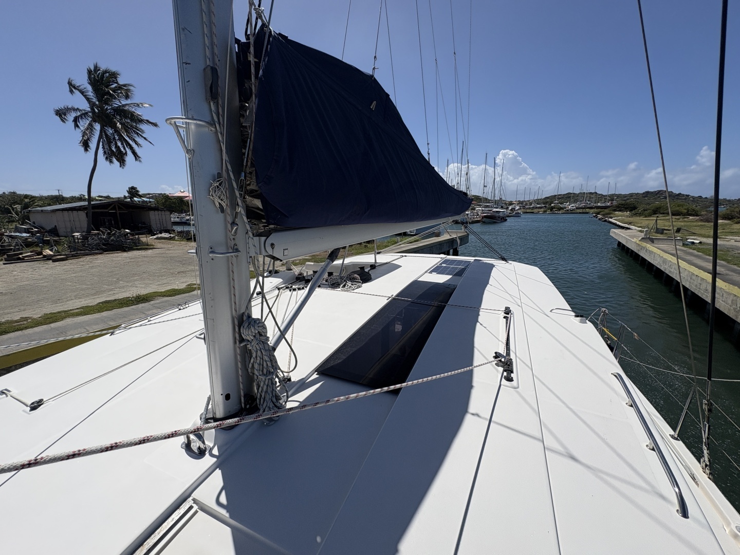 2019 Robertson & Caine Leopard - Image 4
