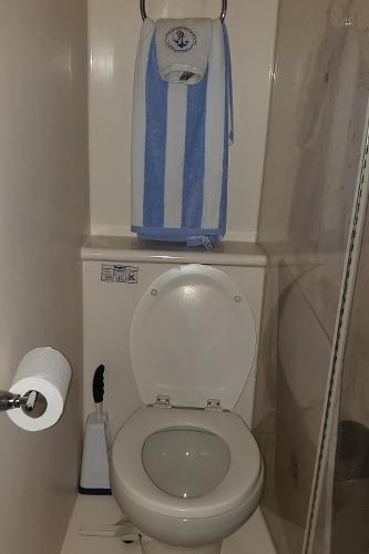 2010 Meridian 441 Sedan bathroom with nautical-themed towel and toilet.