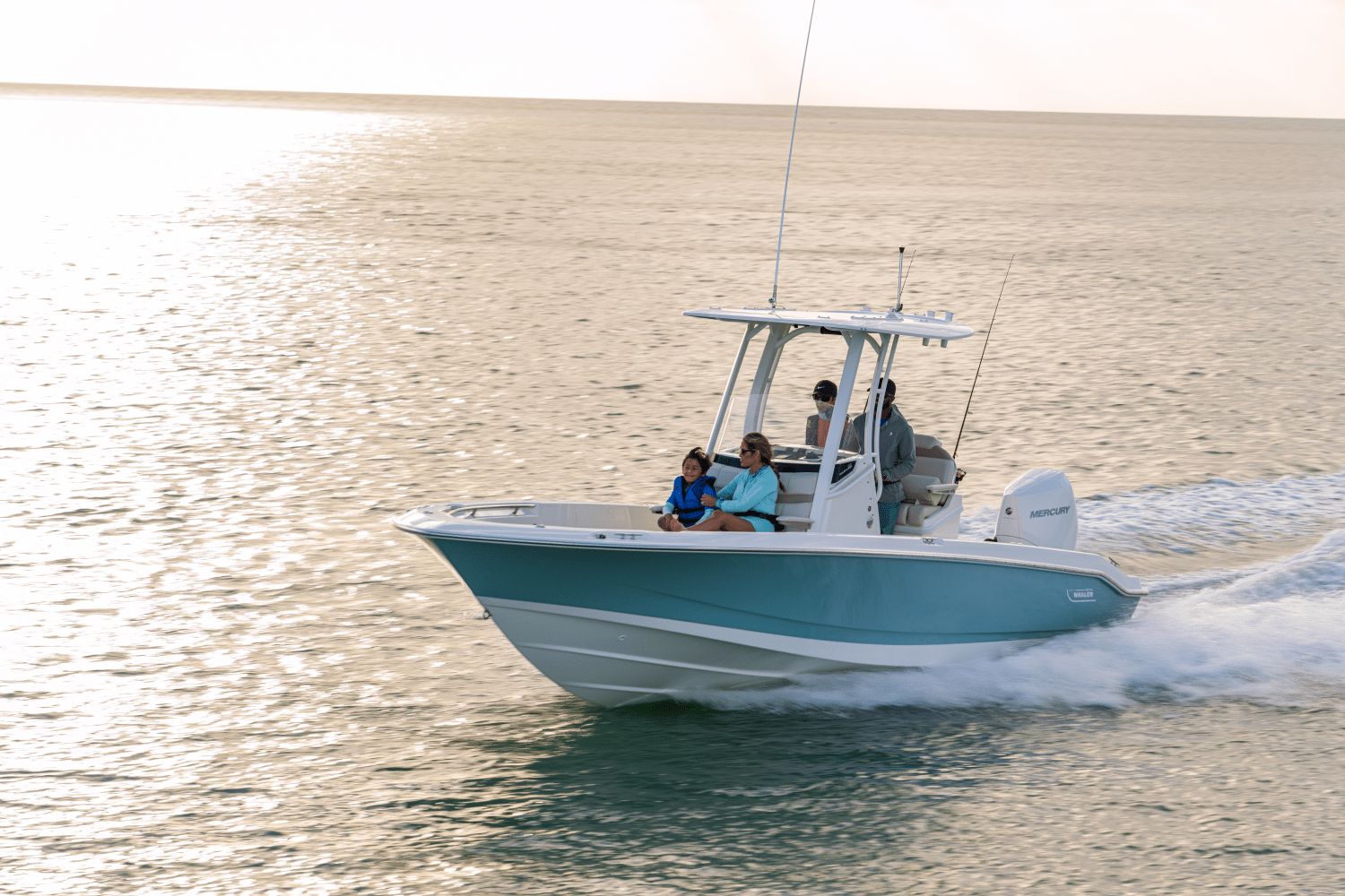 2026 Boston Whaler 250 Dauntless - 12