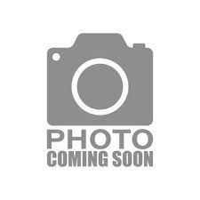 2026 Sylvan X1 LZ DH