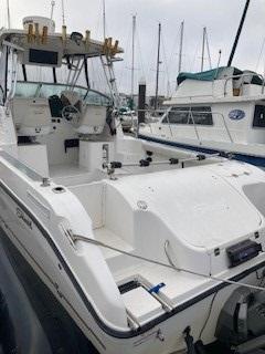 2006 Seaswirl Striper 2601 Walkaround I/O - 2