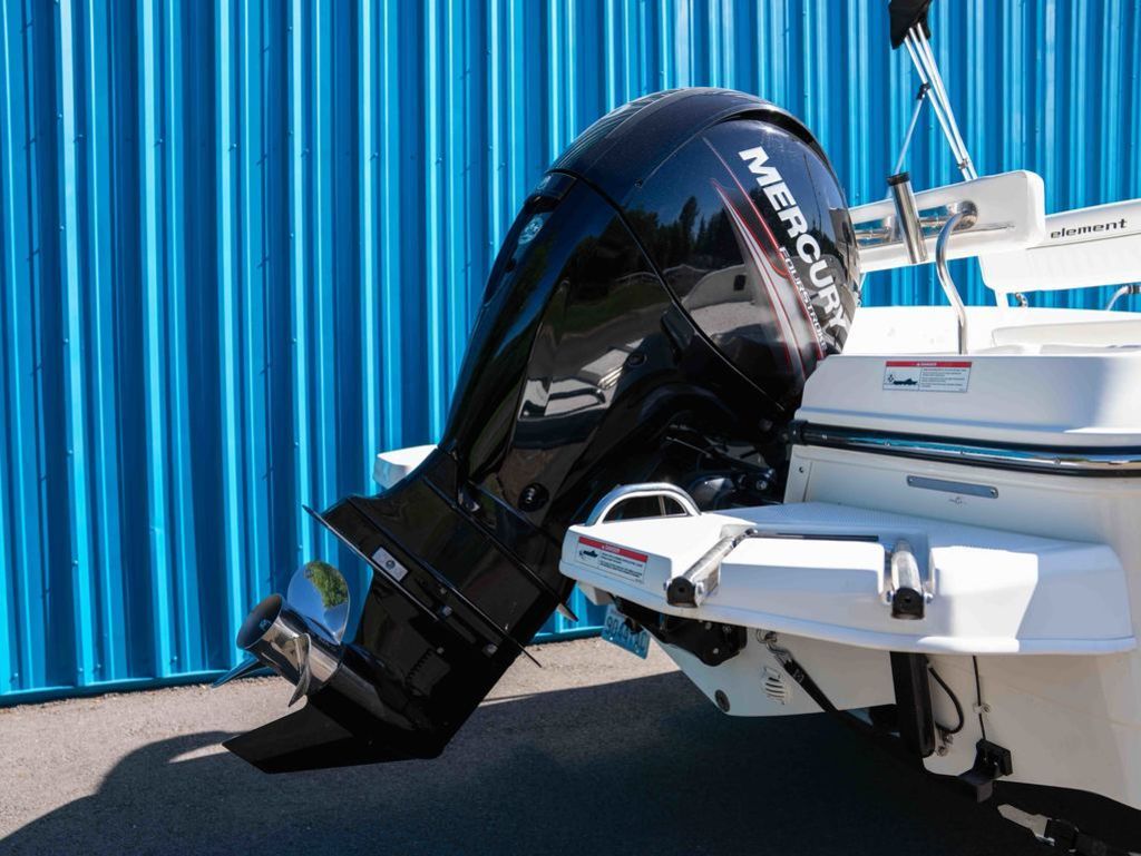 2019 Bayliner Element F21 - 3