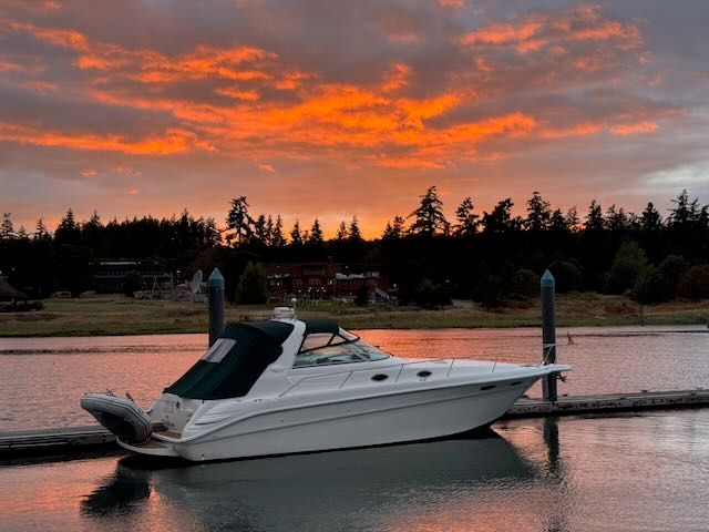 1996 Sea Ray Sundancer 330
