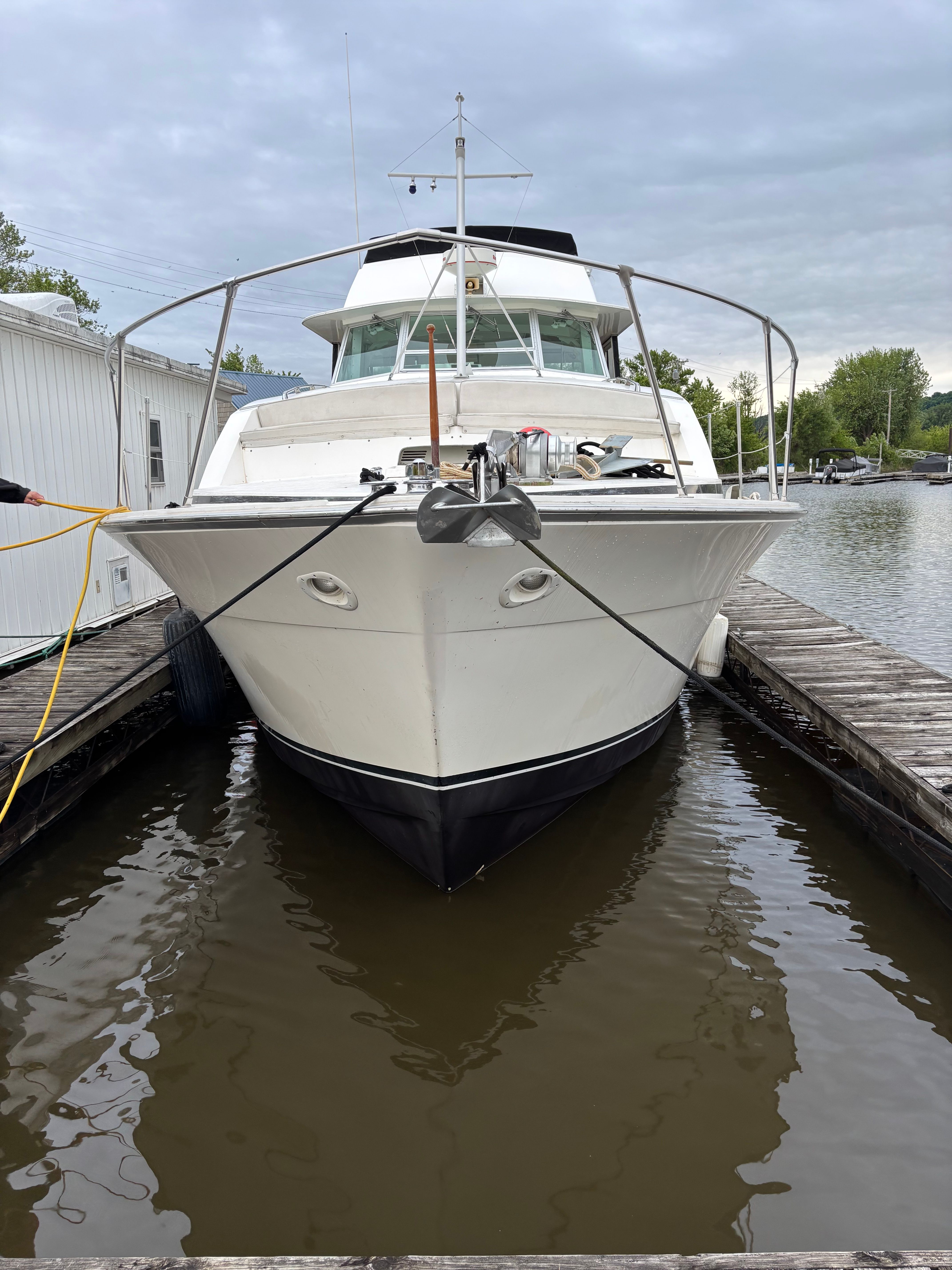 1977 Bertram 42 Motor Yacht - 4