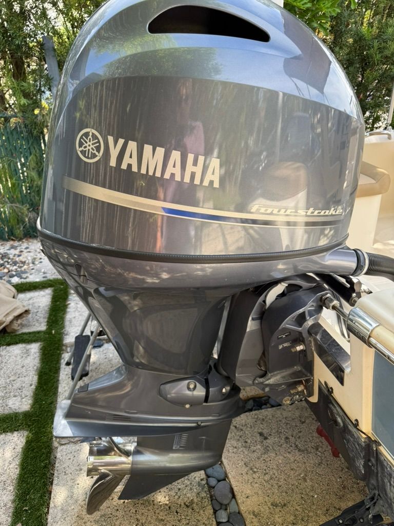 2020 Scout 175 Sport Dorado - 5