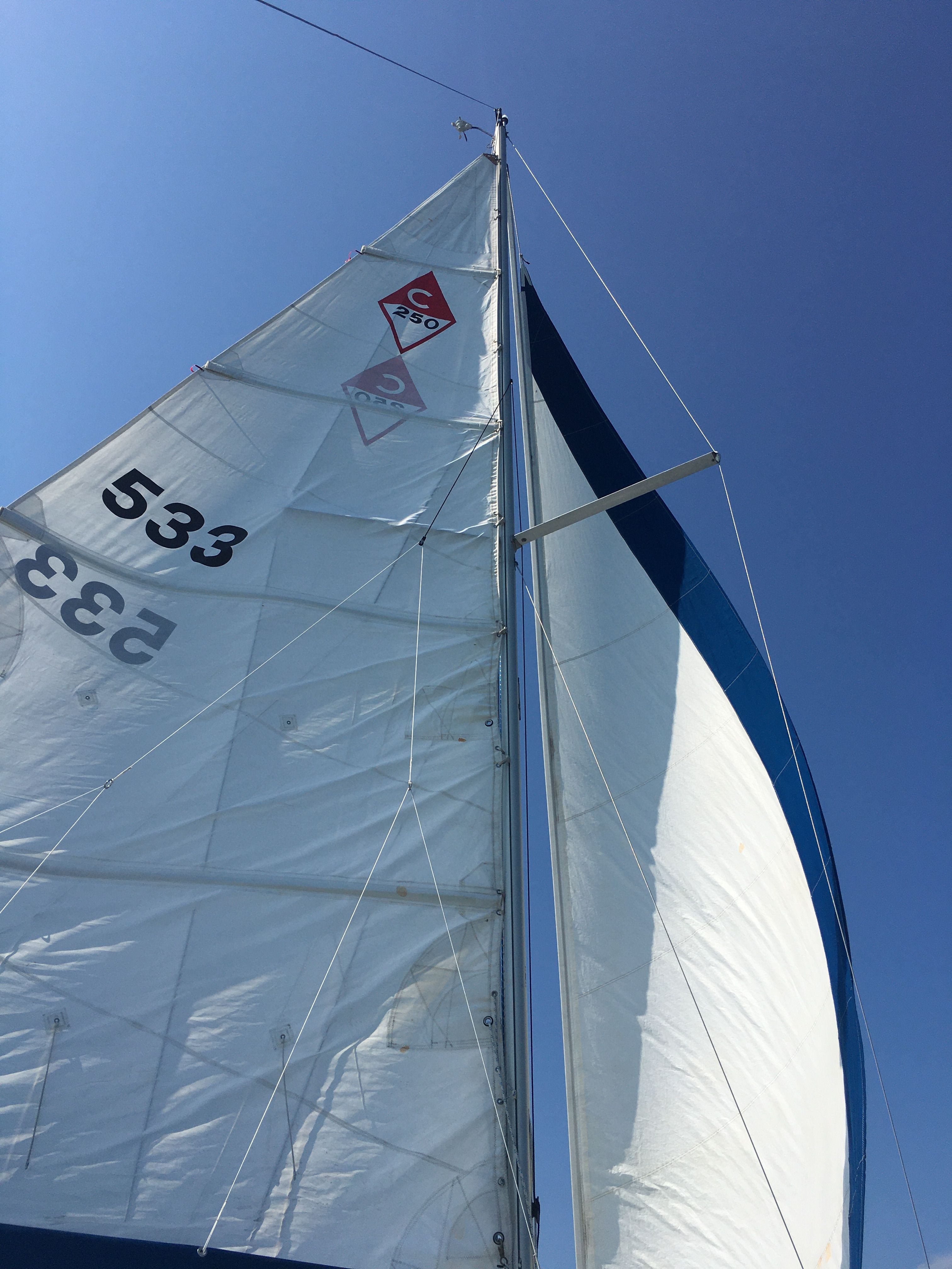 2000 Catalina 250