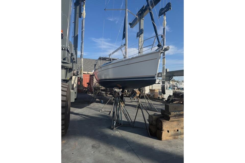 NEW April 2026 Bottom Paint