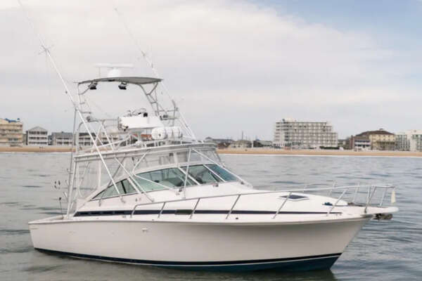 1998 Bertram 36 Moppie