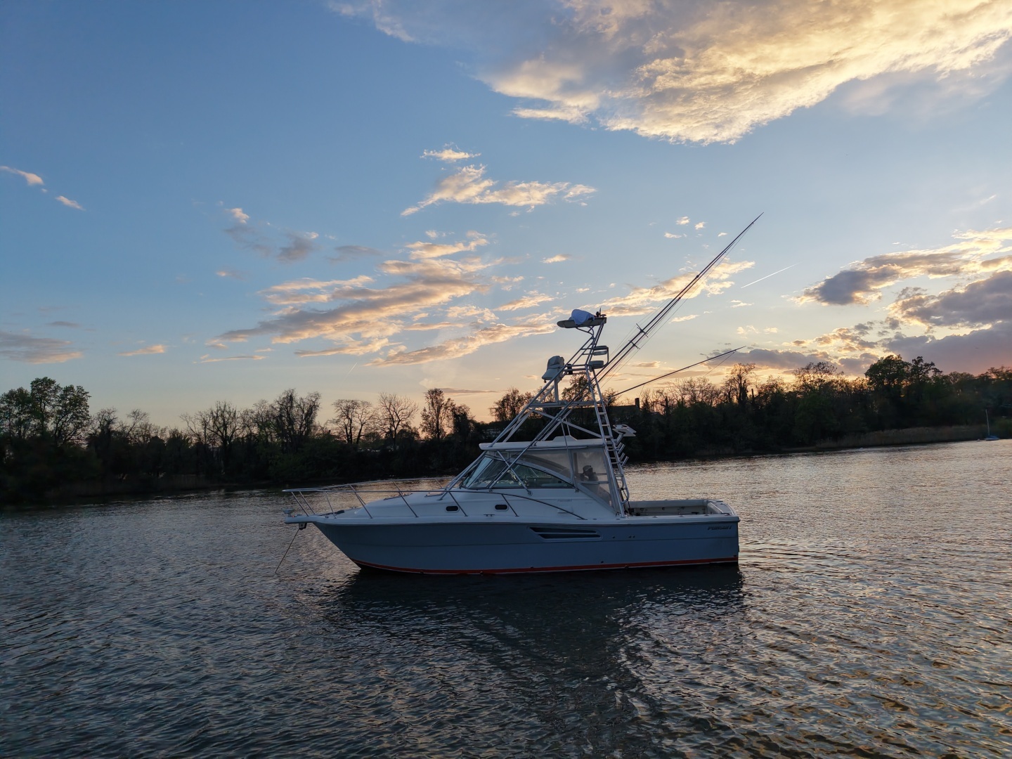 2000 Pursuit 3400 - Image 12