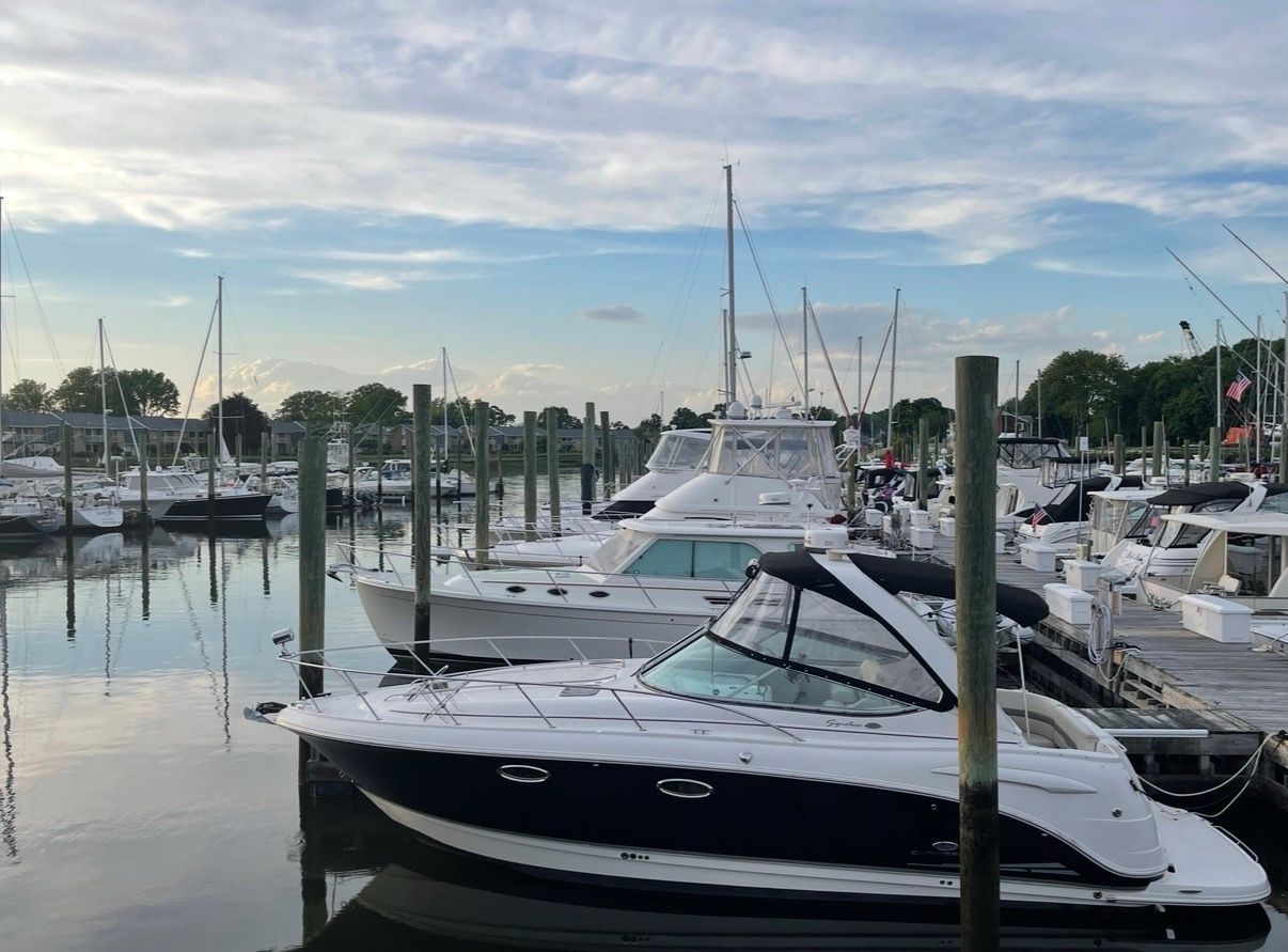 2006 Chaparral Signature 310 docked at marina during sunset.