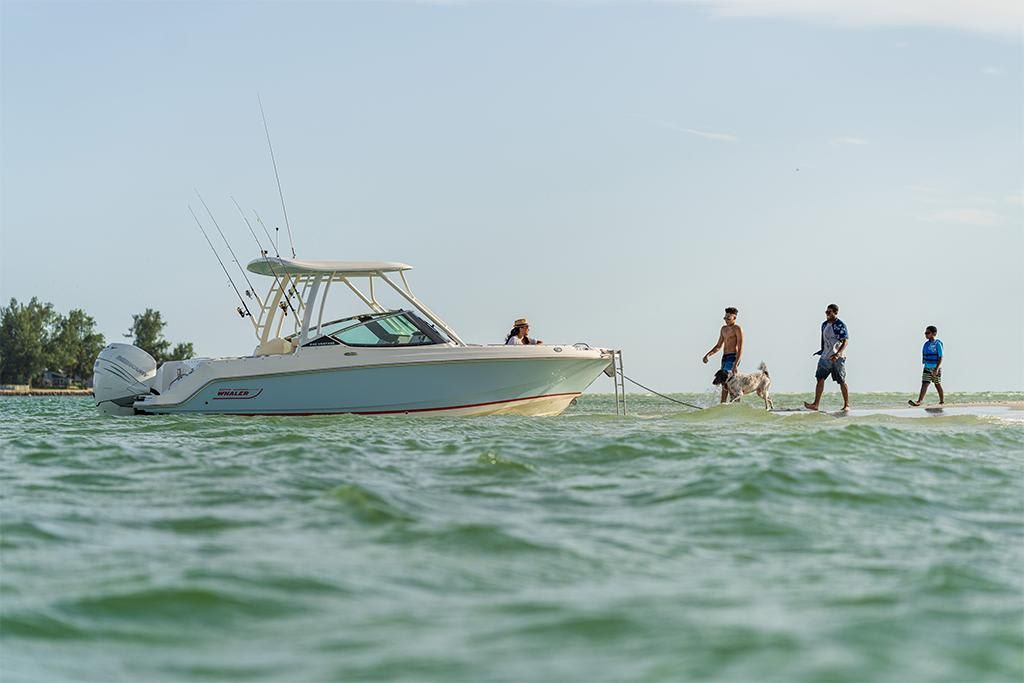 2023-Boston-Whaler-240-Vantage-MarineMax