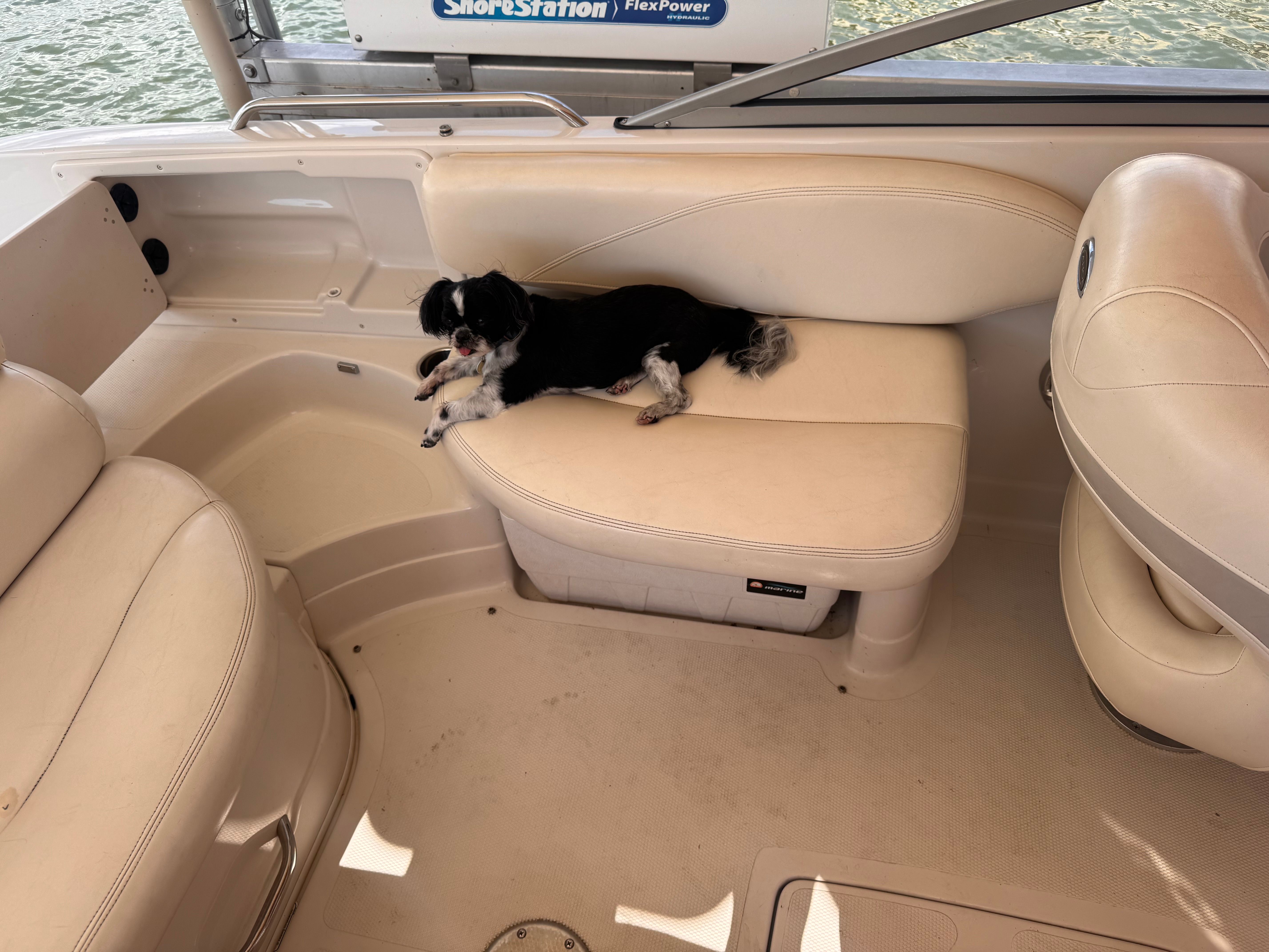 A small dog lies on a cream-colored seat in a boat.