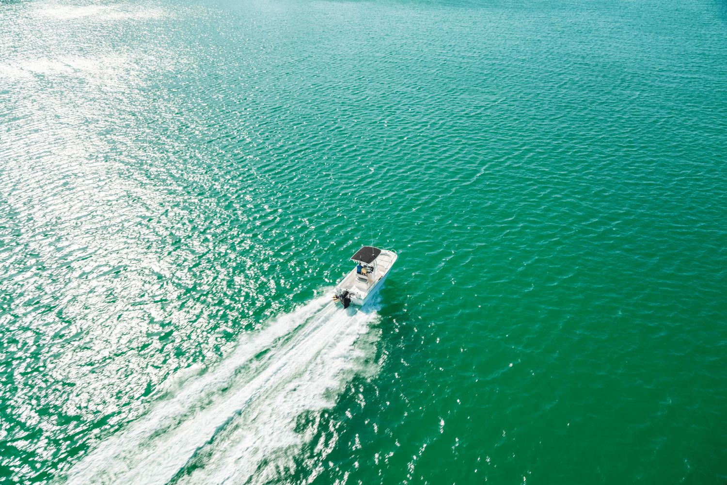 2026 Boston Whaler 190 Montauk - 11