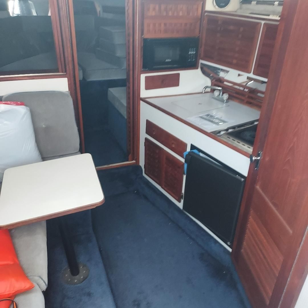 1987 Regal Commodore - 7