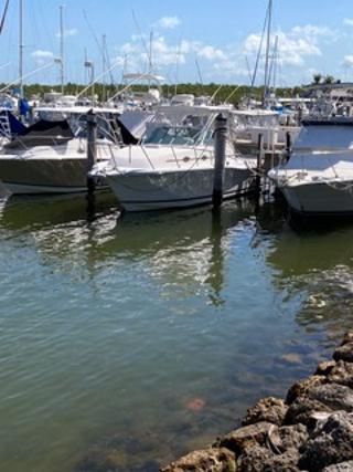 2006 Stamas 320 Express - 2