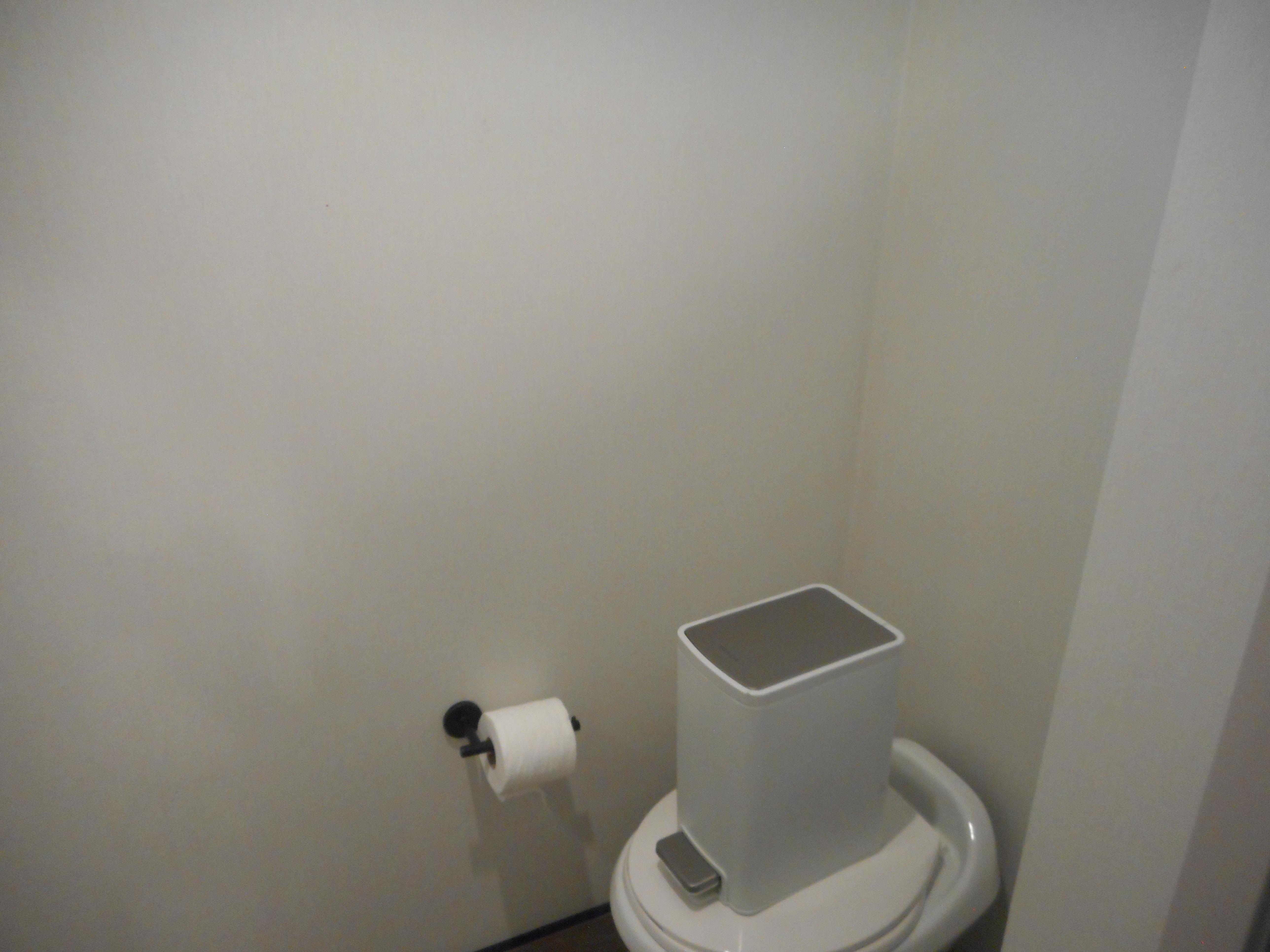 Minimalist bathroom corner with toilet, paper holder, and trash bin. Adonia Obsession Trip #12, 2021.