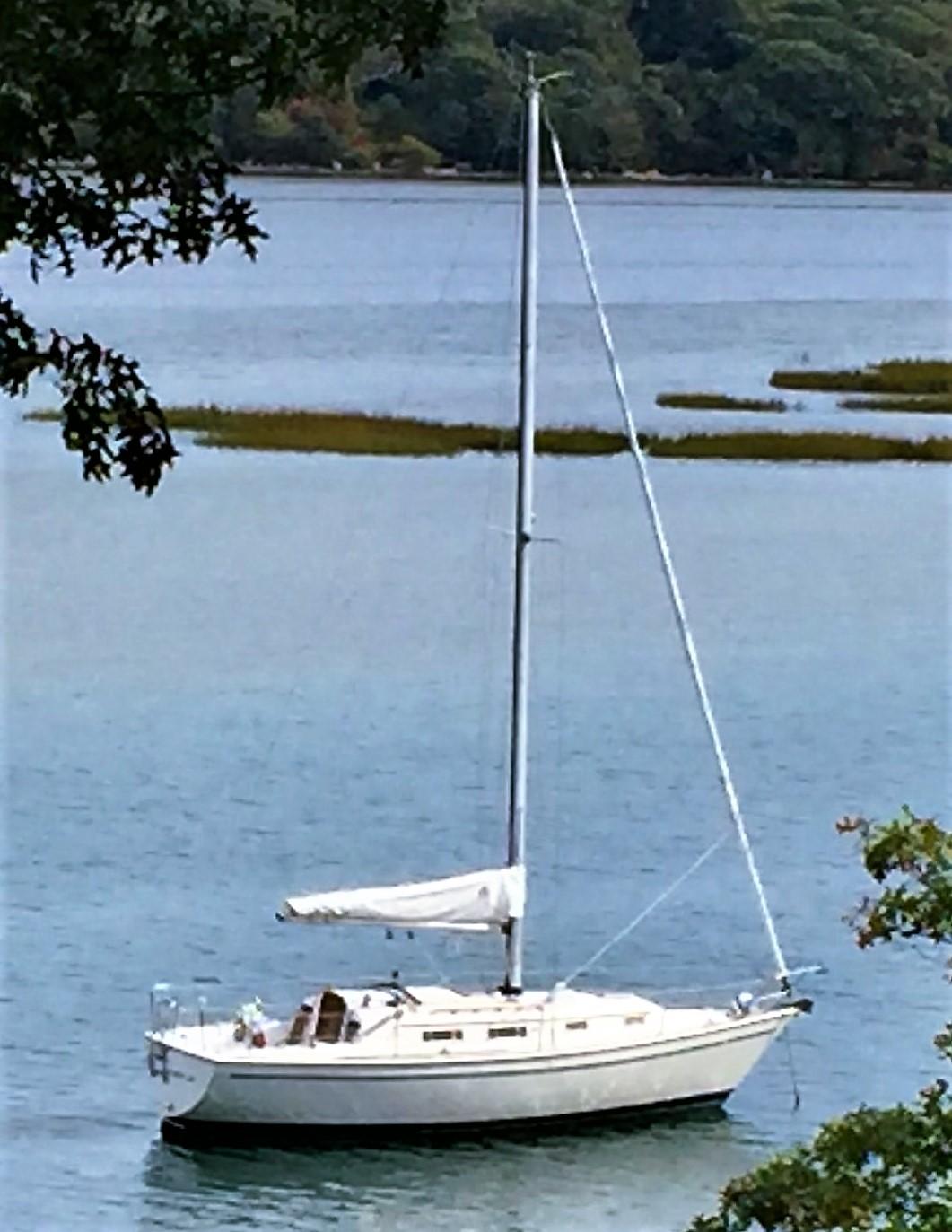 1986 Pearson 303