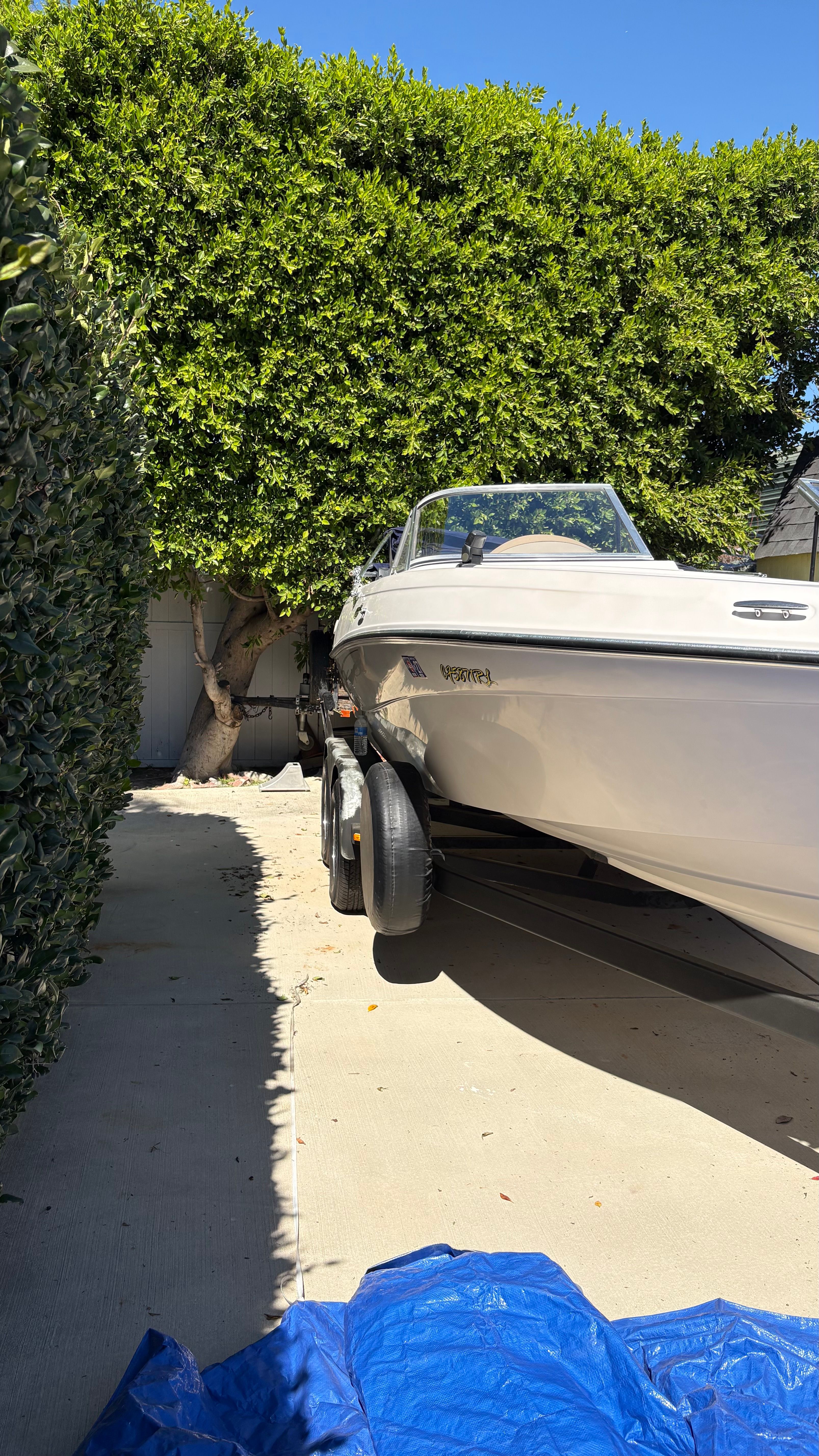 2007 Four Winns 203 Horizon boat on trailer beside tree.