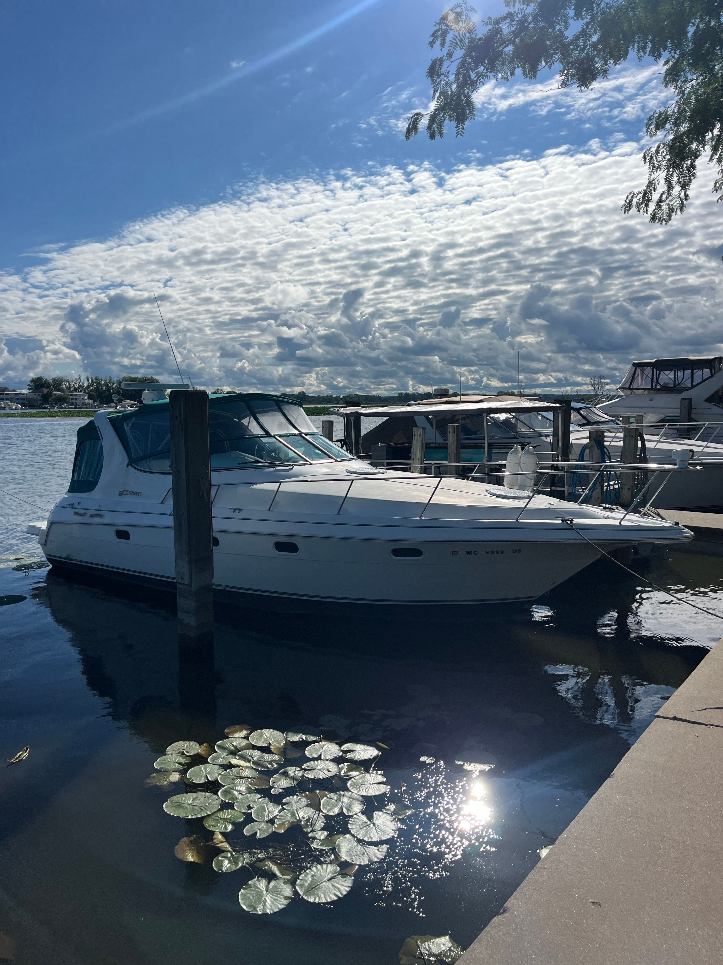1996 Cruisers Yachts 3375