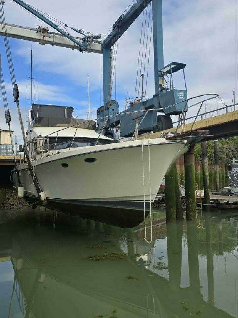 1988 Tollycraft EY440 - Image 6