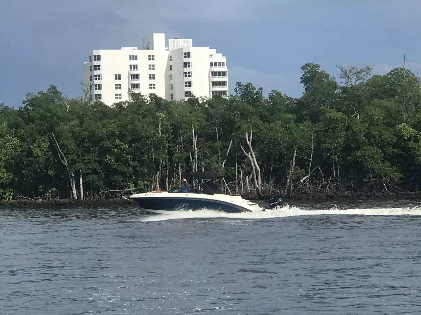 2019 Sea Ray SDX 270 Outboard - Image 5
