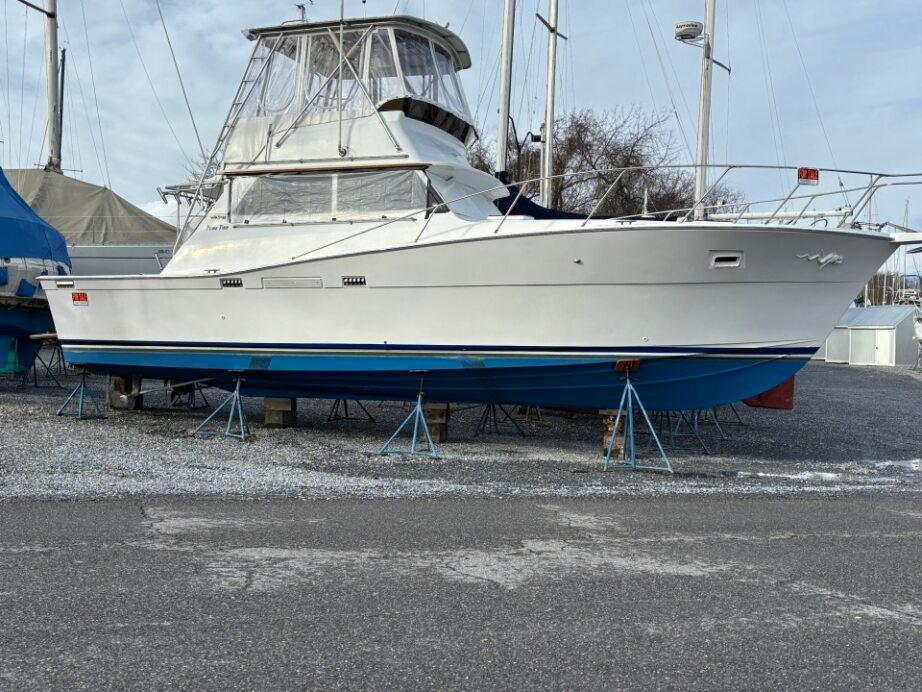 White 1973 Viking 40 boat with blue hull, on stands in a boatyard.